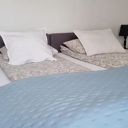 Garden House Apartment Pruszcz Gdanski